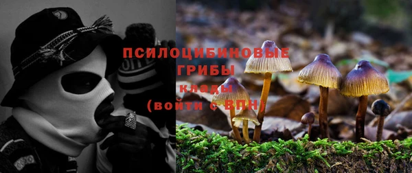 гидра Краснотурьинск