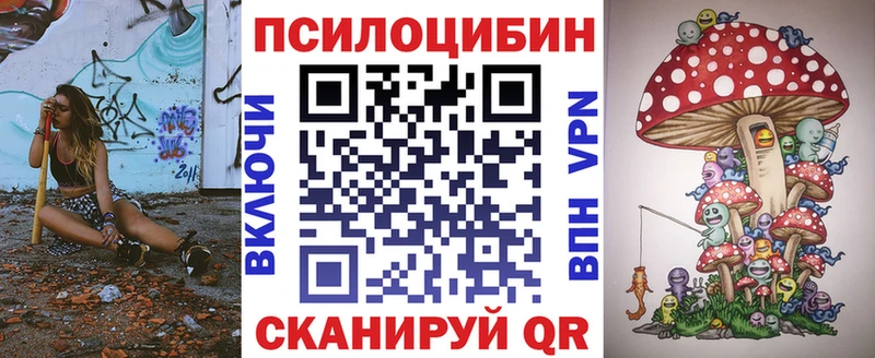 дарк нет клад где можно купить наркотик Кяхта Галлюциногенные грибы Psilocybe